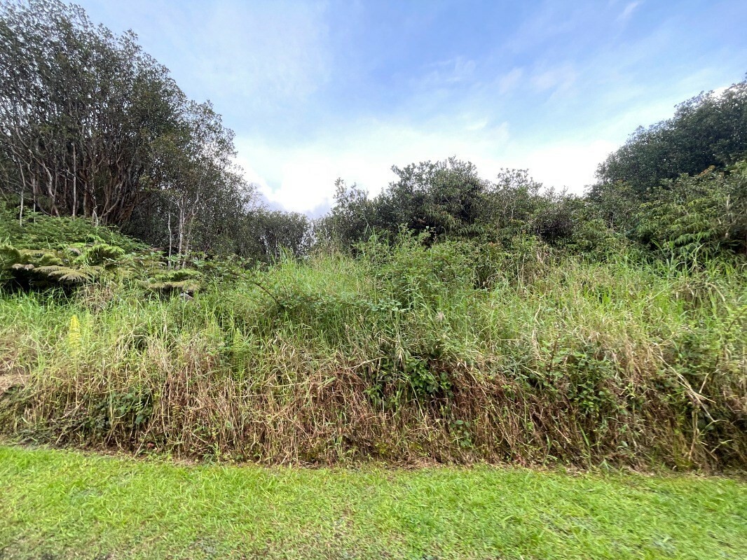 Property Photo:  Hilohilo St  HI 96785 