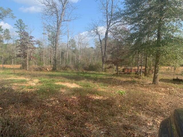 Cryer Road  Leesville LA 71446 photo