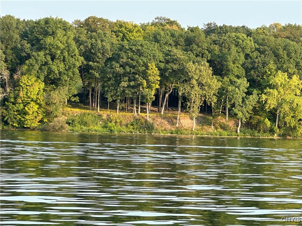 Property Photo: 3625 State Route 90 Lots13&13A/14&14A NY 13026