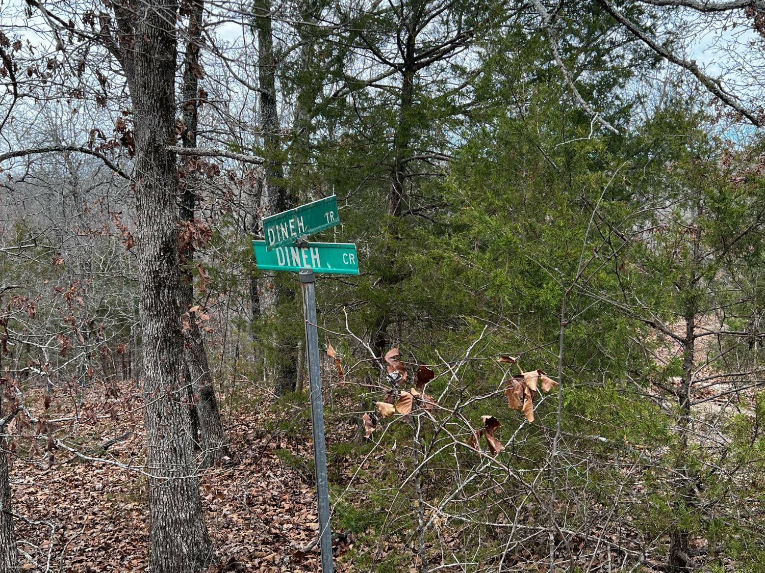 Property Photo: 18 Dineh Trail AR 72529