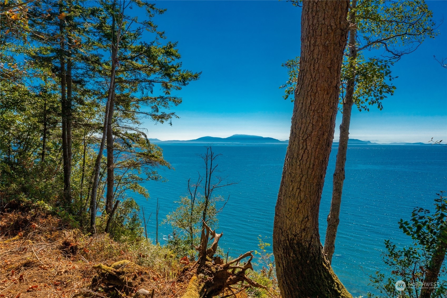 Property Photo: 0 X1 Birch Point Road WA 98230