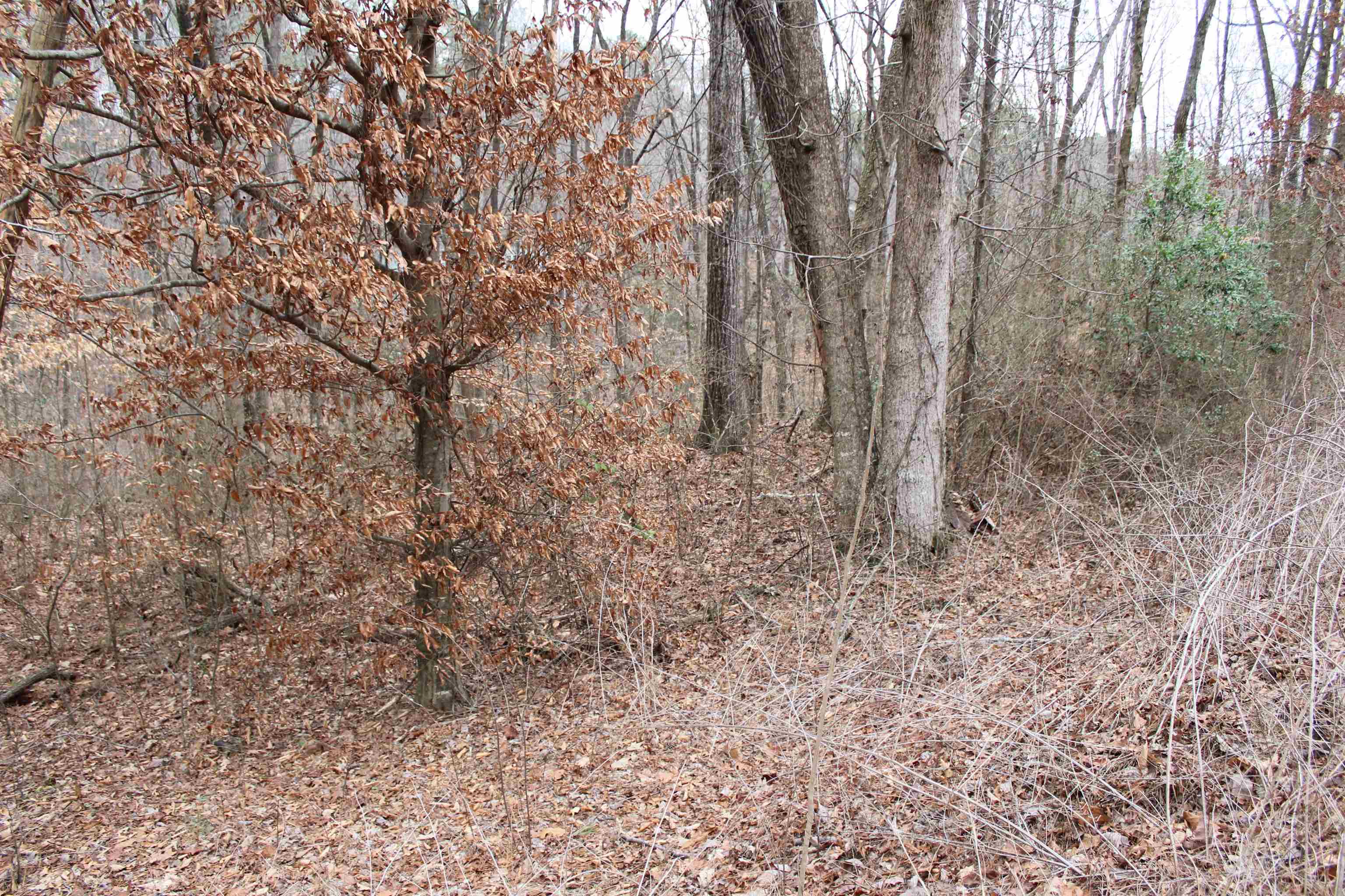 Property Photo:  Lot 9 Quail Run  AL 35057 - CULLMAN 