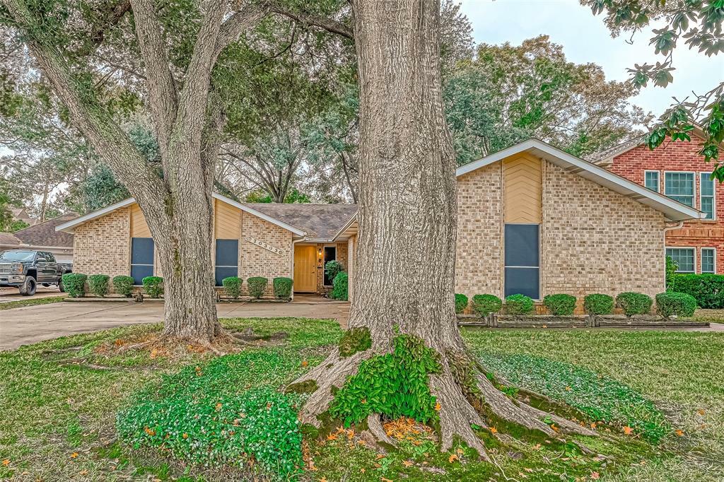 20303 Hampshire Rocks Drive  Katy TX 77450 photo