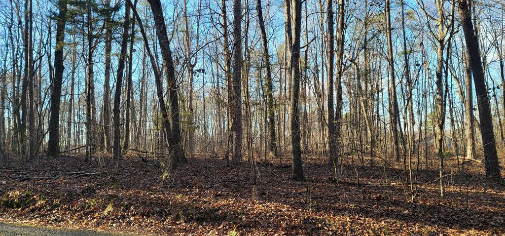 Property Photo: Lot 9 Mountain View Road TN 37307