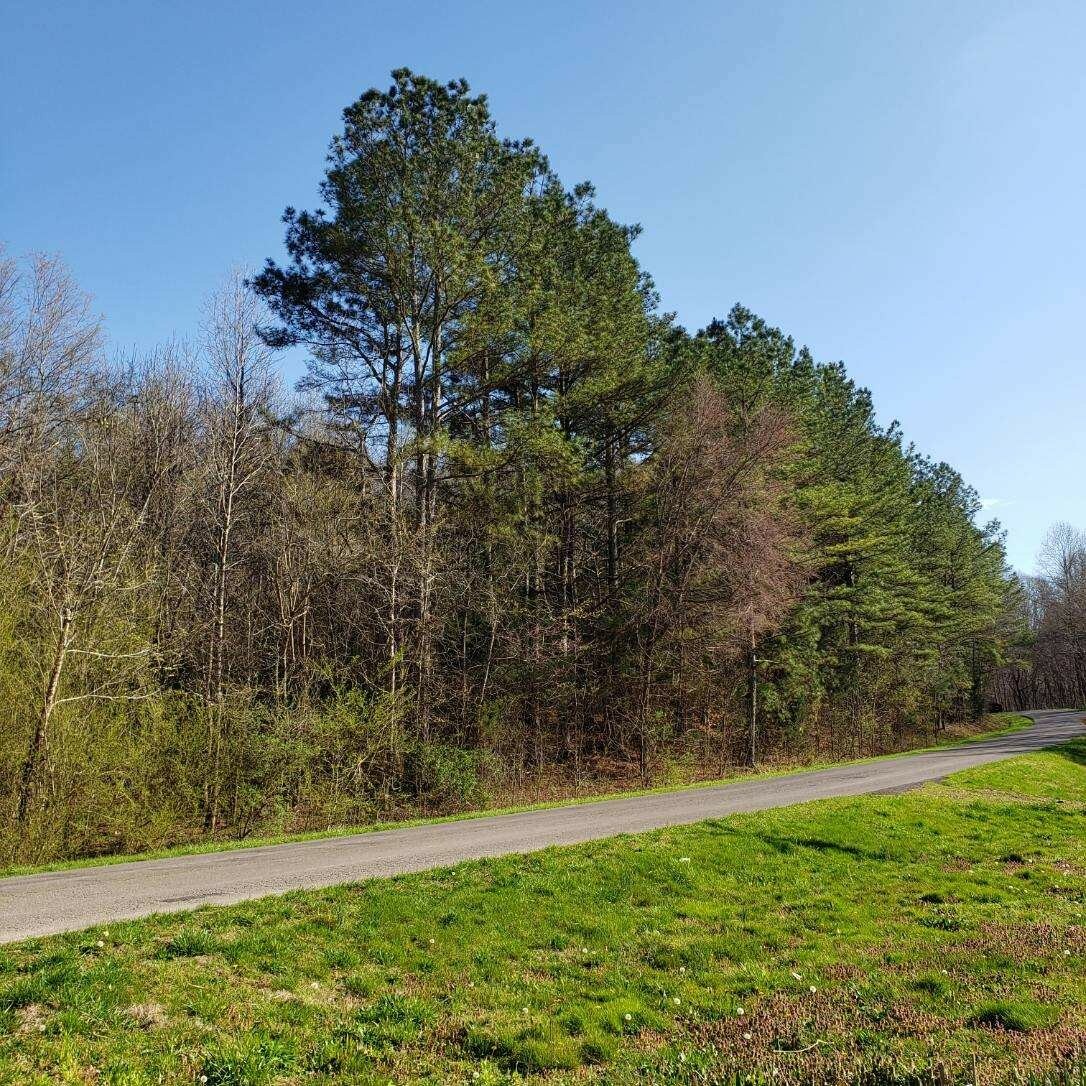 Property Photo:  2356 Hurricane Creek Rd S  TN 38464 