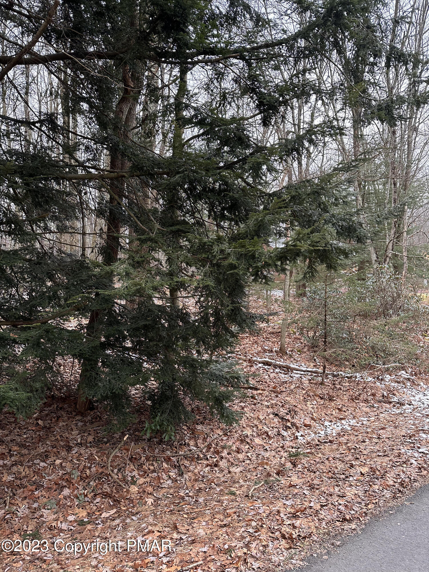 Property Photo:  Lake Drive  PA  