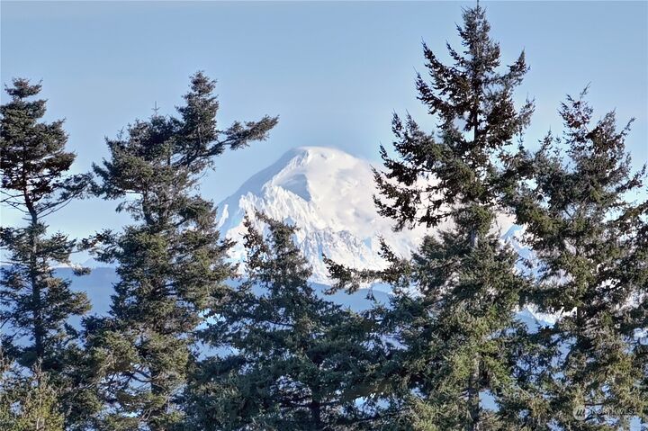 Property Photo: 2503 Creekside Lane WA 98221