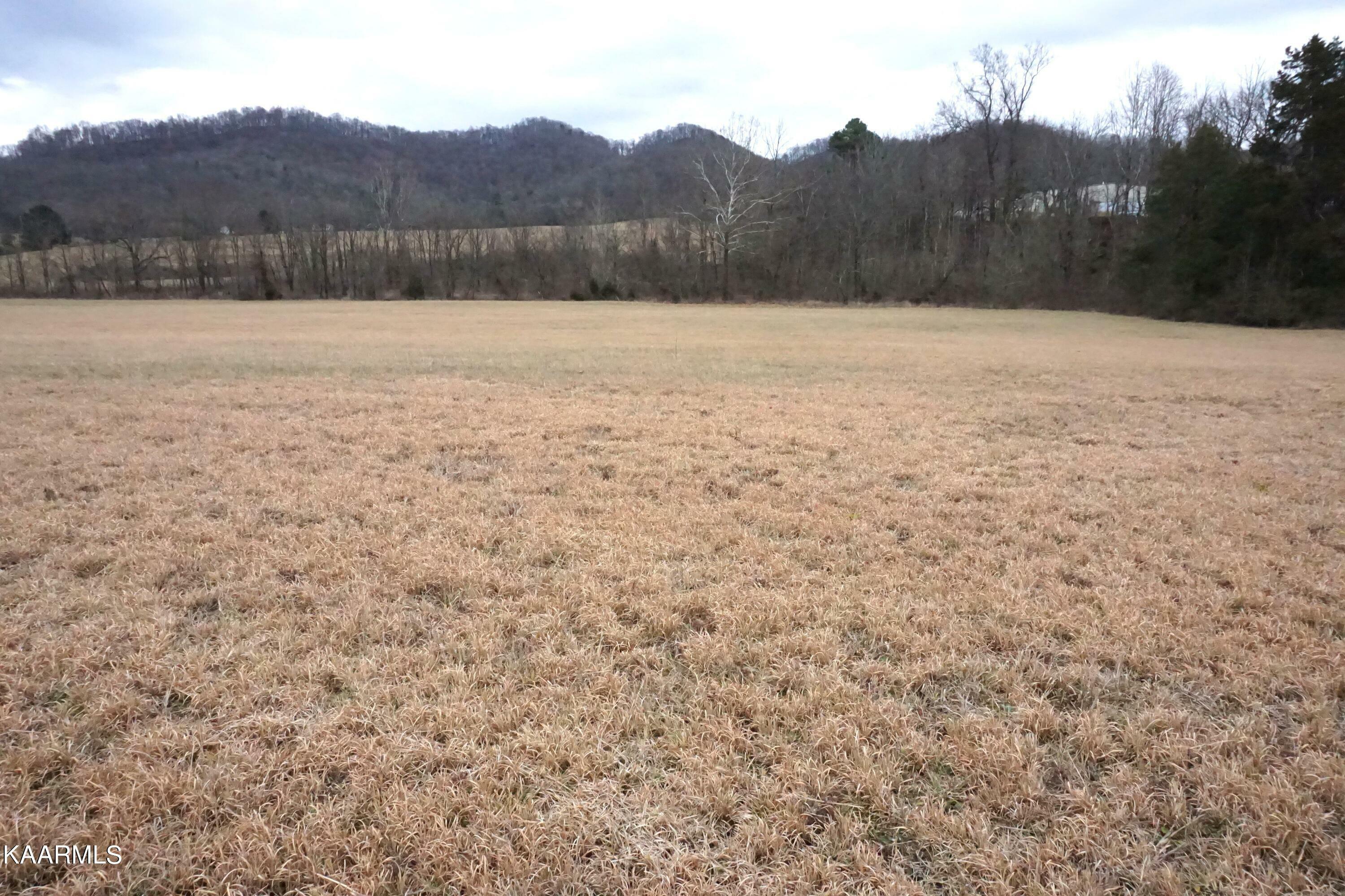 Property Photo:  Luttrell Rd  TN 37807 