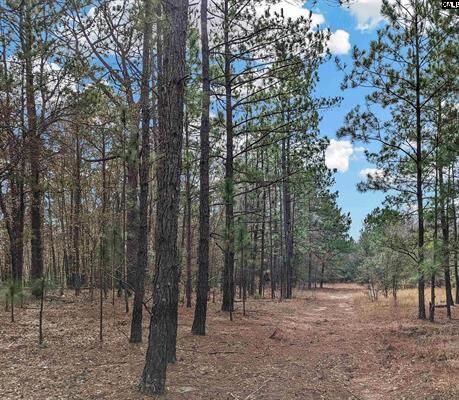 Property Photo:  Camden Highway  SC 29010 