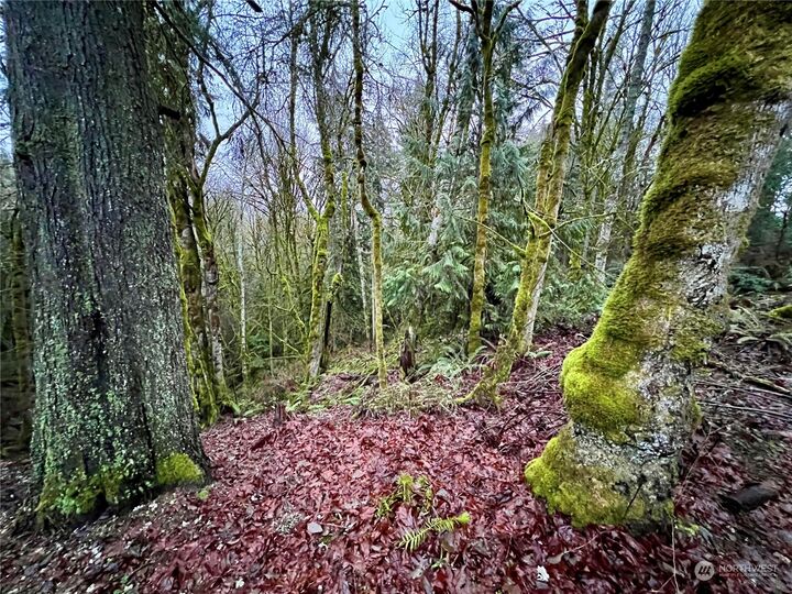 Property Photo: 0 Lot 7 Hicks Avenue NE WA 98311