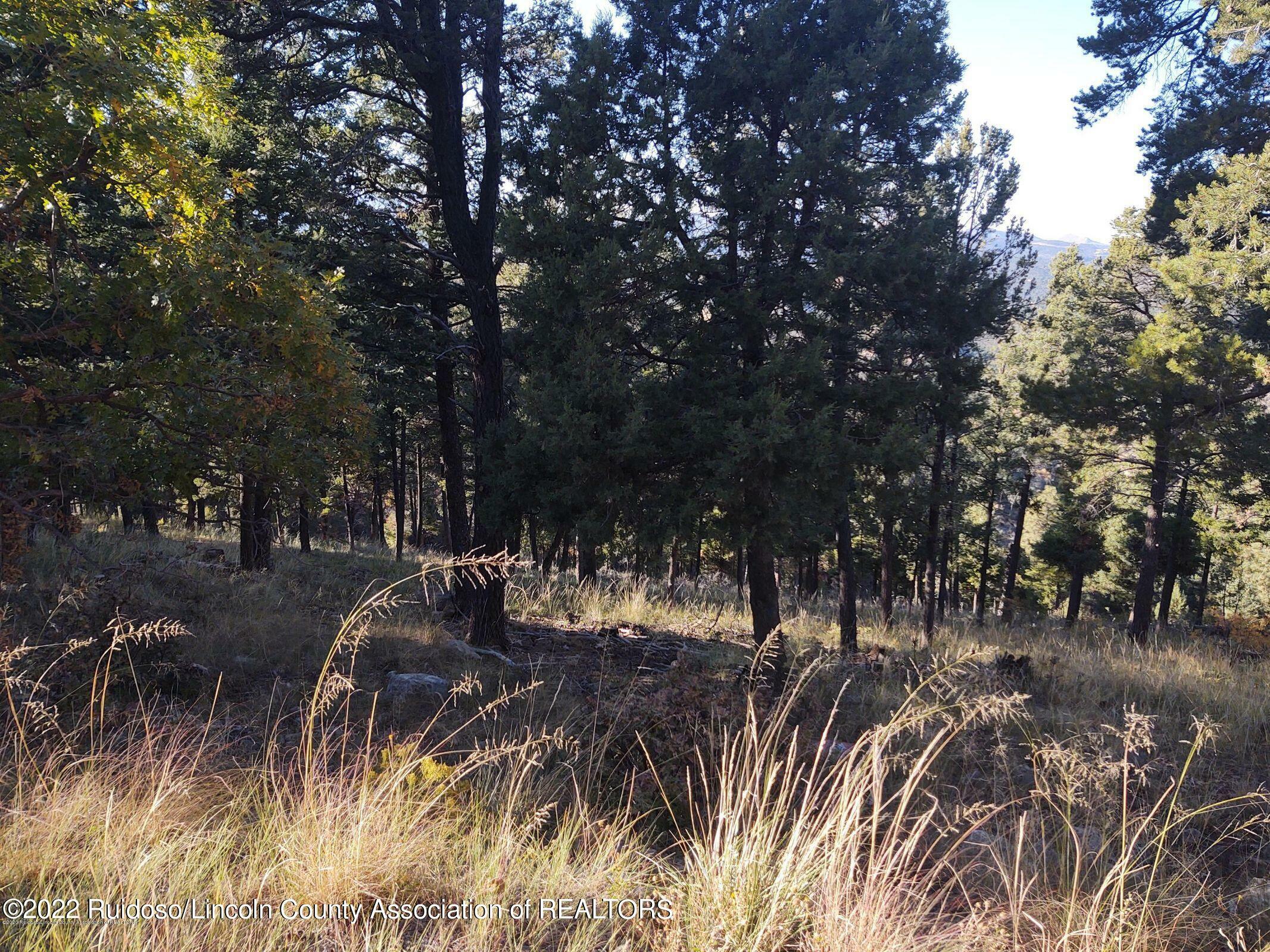 264 Crown Drive  Ruidoso NM 88345 photo