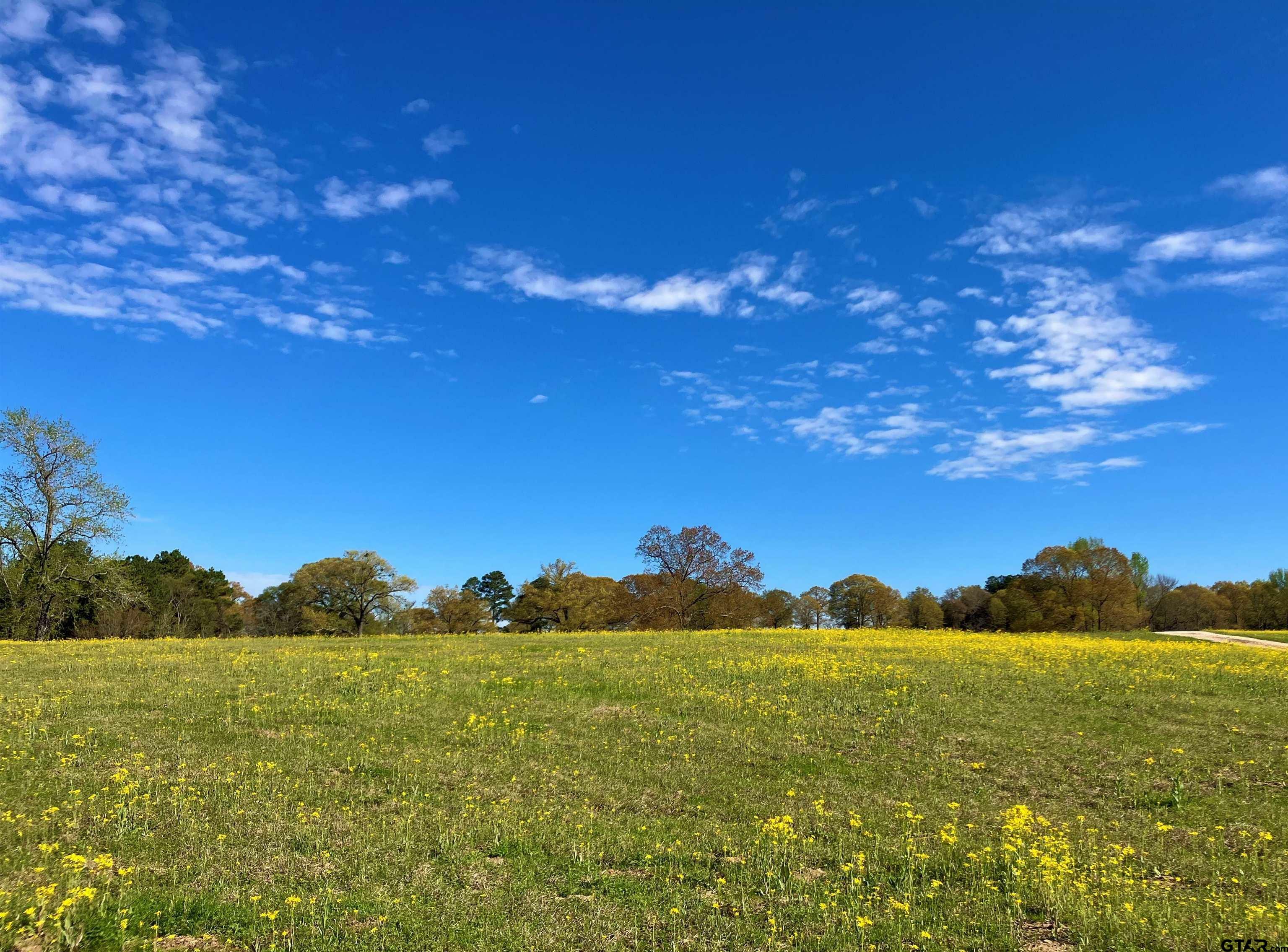 Property Photo: Lot 49 White Oak Creek Ranch TX 75755