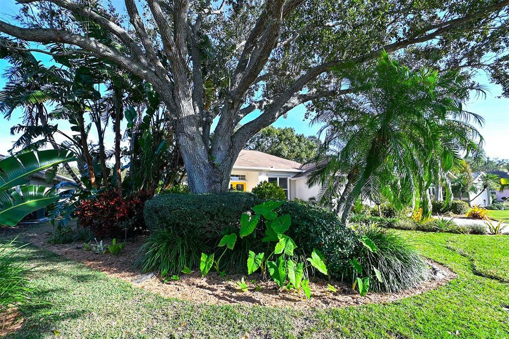 Property Photo:  3208 Crystal Lakes Court  FL 34235 