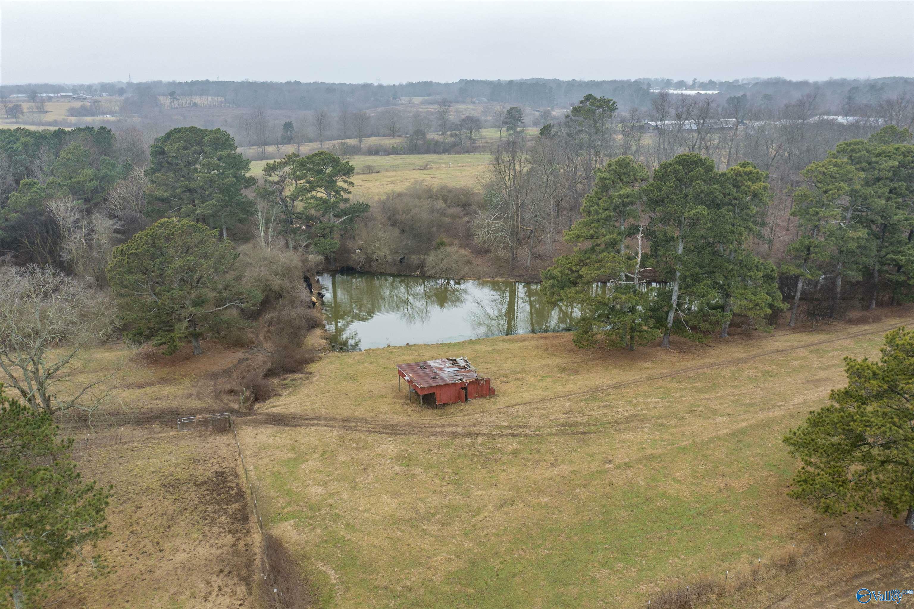 Property Photo:  108 Acres Martling Road  AL 35950 