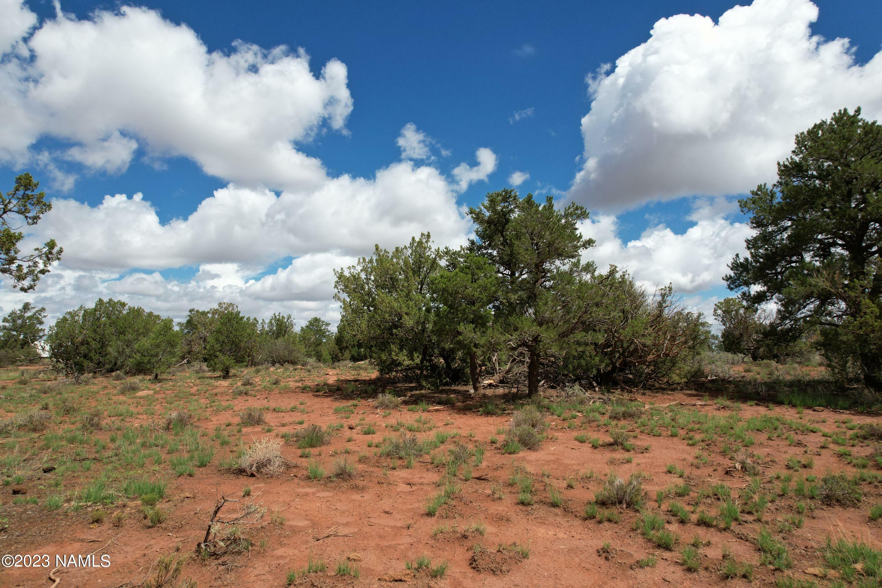 Property Photo:  2938 S Fair Oaks  AZ 86046 