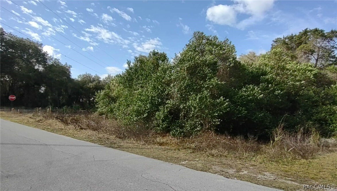 Property Photo:  1002 Hillside Court  FL 34450 