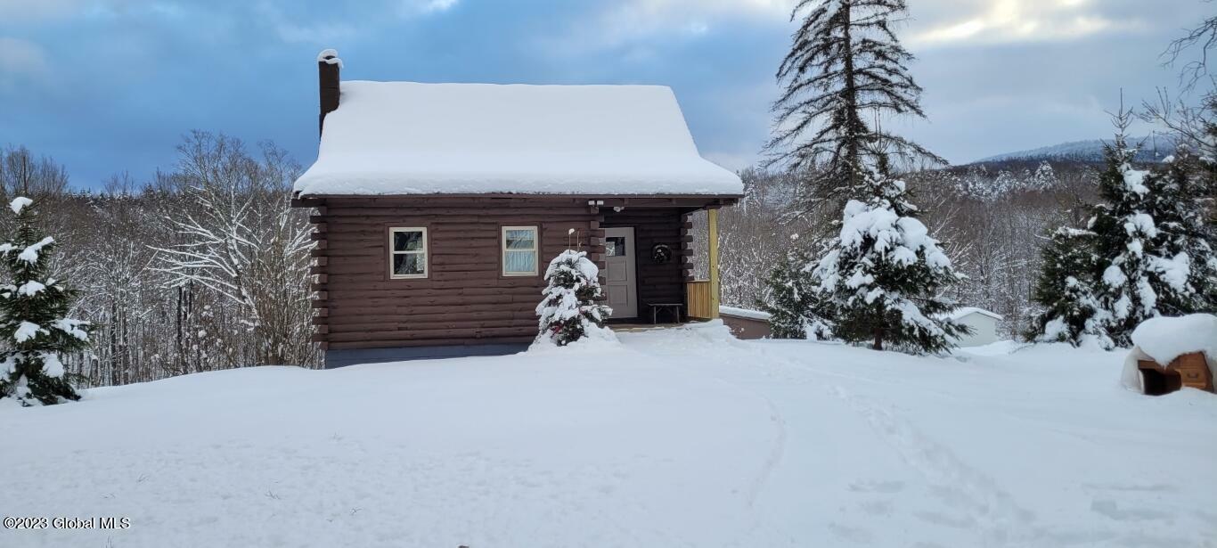 Property Photo:  469 Bates Hollow Road  NY 12469 