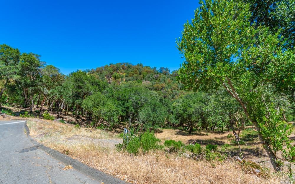 Property Photo: 32 Catalpa Court CA 94558