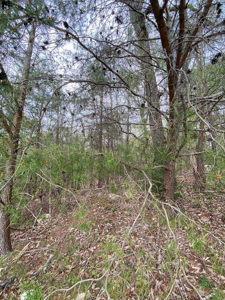 Property Photo:  0 Battleline Drive  GA 30740 