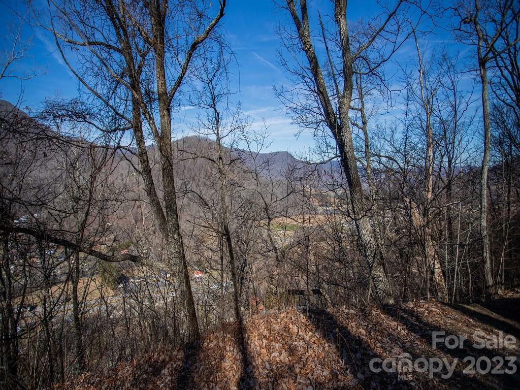Property Photo:  0000 Tanner Trail 19  NC 28785 