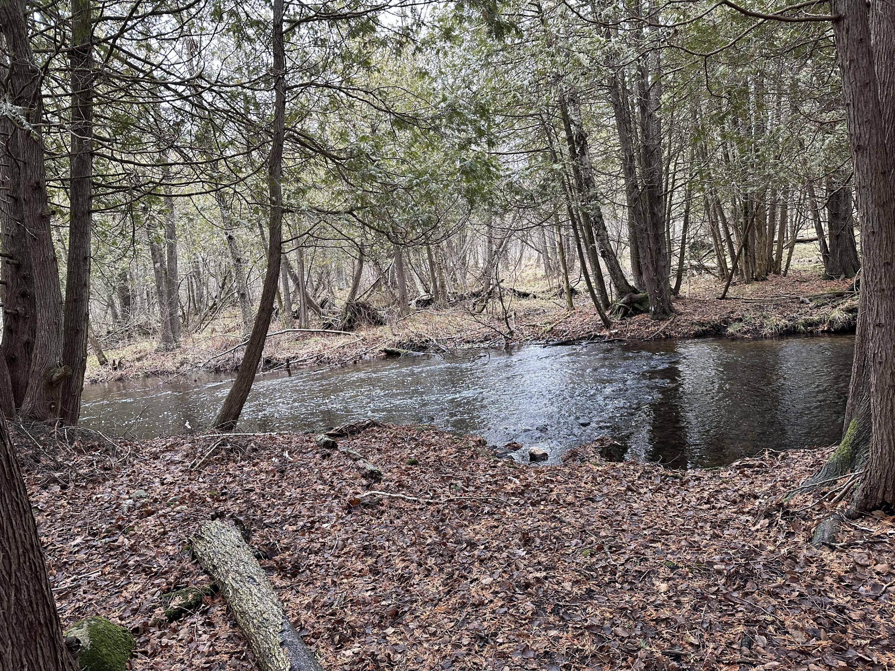 Property Photo:  Tbd 11 Mile Road  MI 49340 