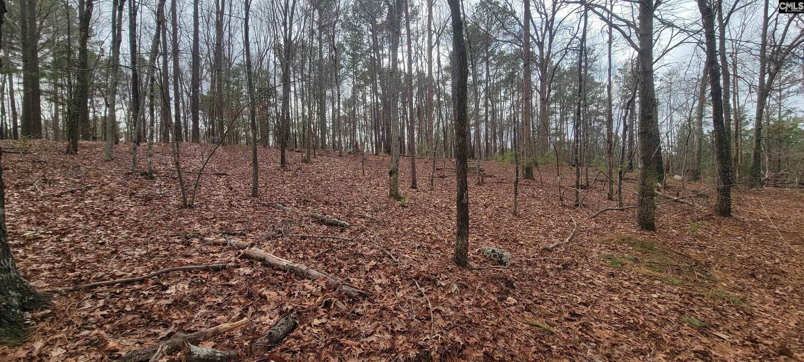 Property Photo: 2458 &Amp 2466 Chapin SC 29036