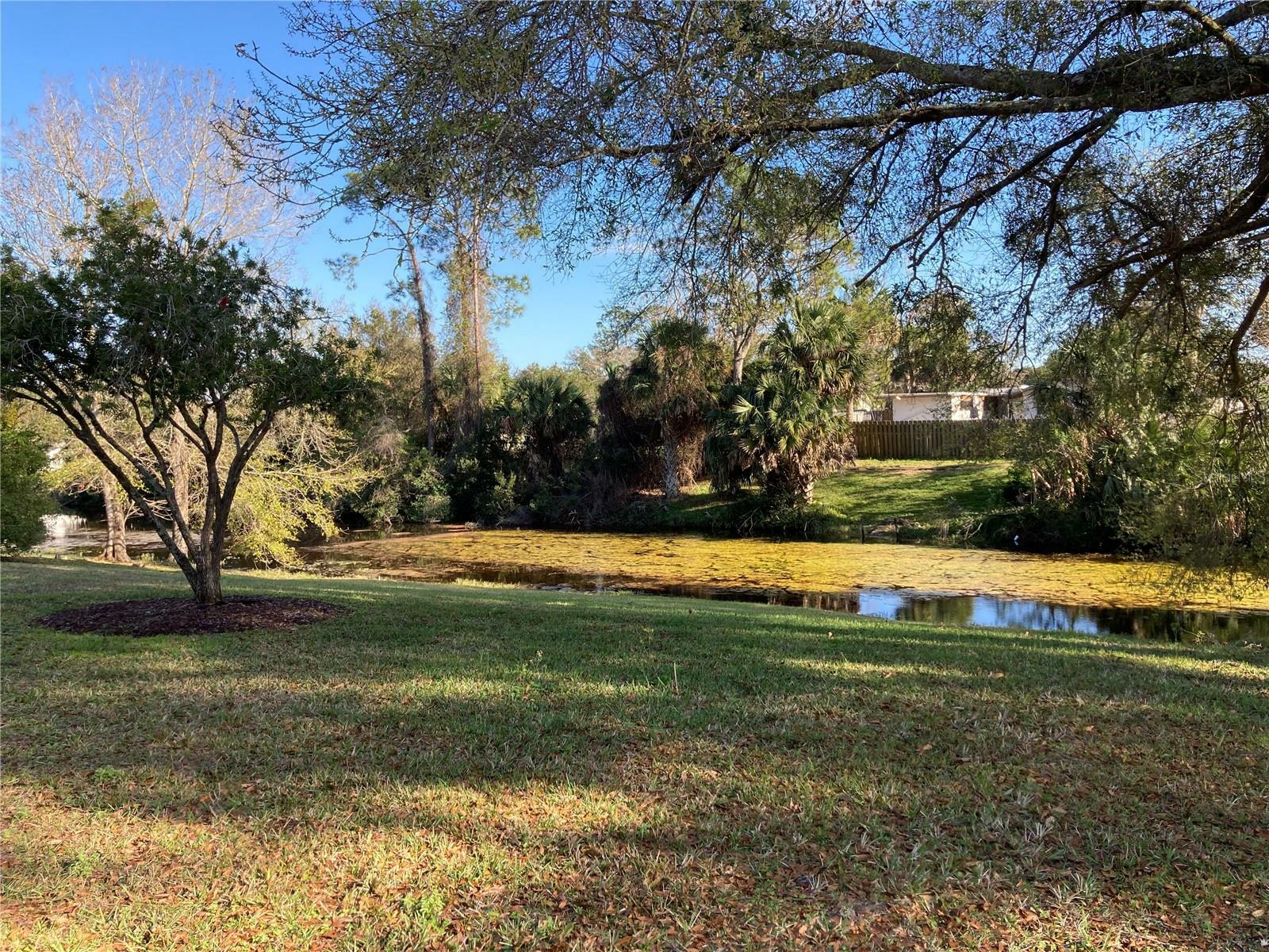 Property Photo:  40 Flamingo Drive  FL 32137 