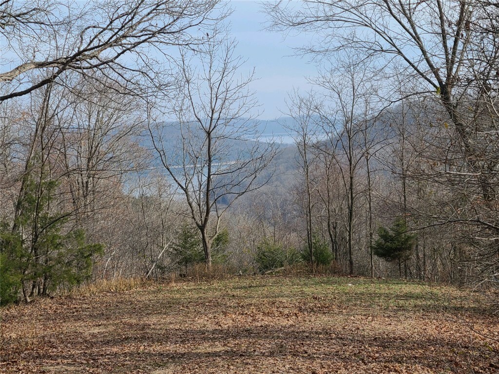 Property Photo:  Lot 74 Buckhorn Drive  AR 72732 