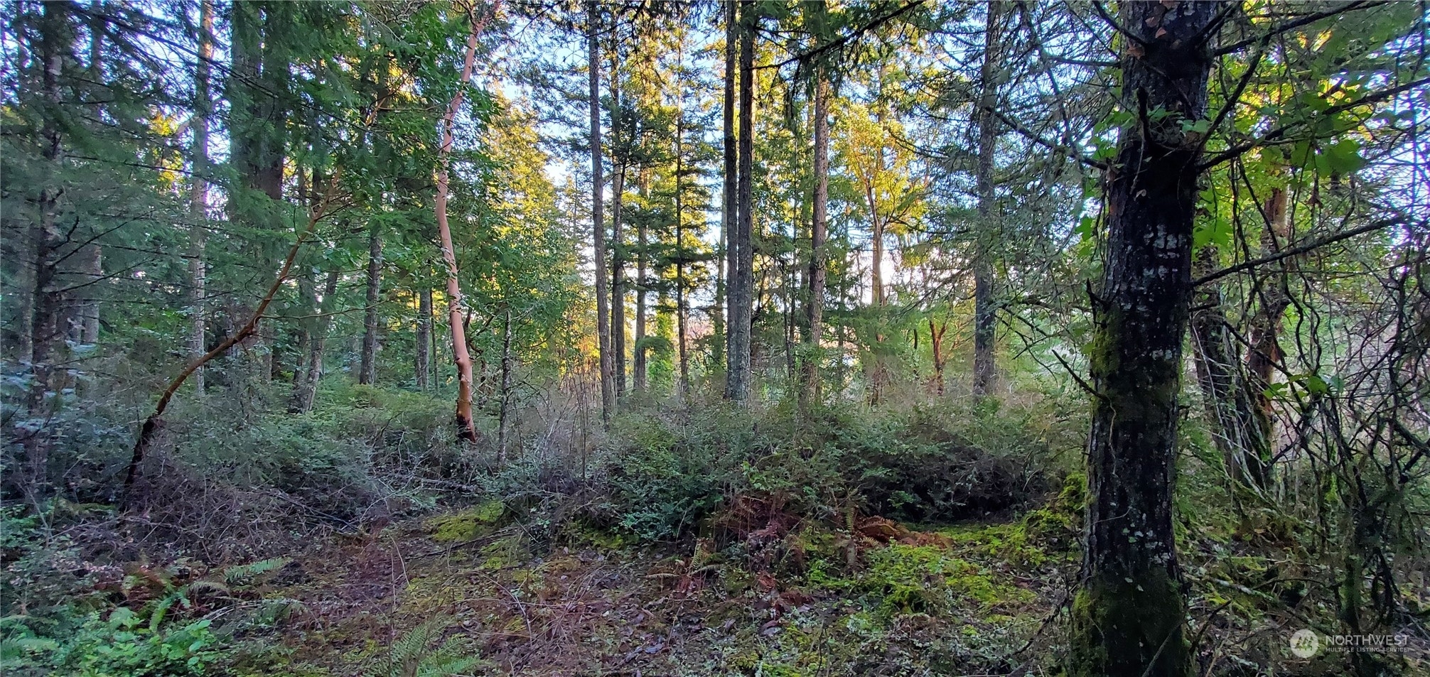 Property Photo: 1 Sand Dollar Road W WA 98312