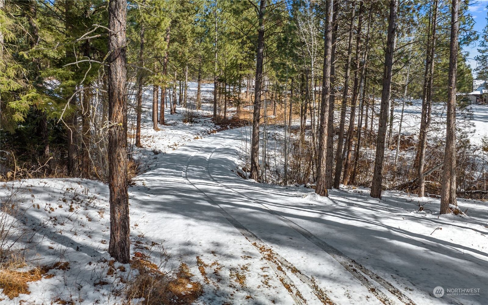 Property Photo: 222 Timber Tiger Drive WA 98922