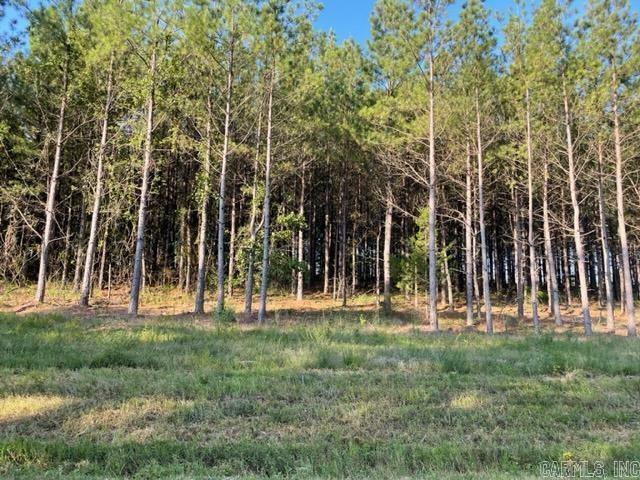 Lot 7 Round Mountain Road  Conway AR 72034 photo