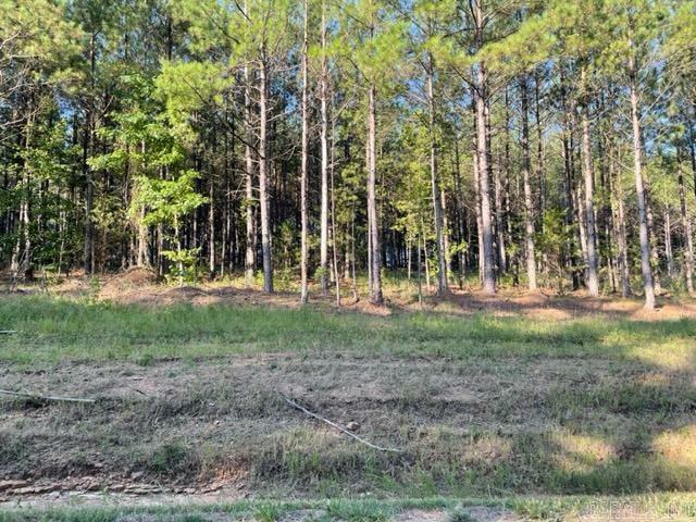 Lot 3 Round Mountain Road  Conway AR 72034 photo