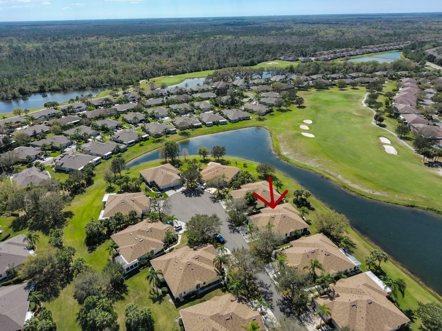 Property Photo:  1239 Huntington Greens Drive  FL 33573 