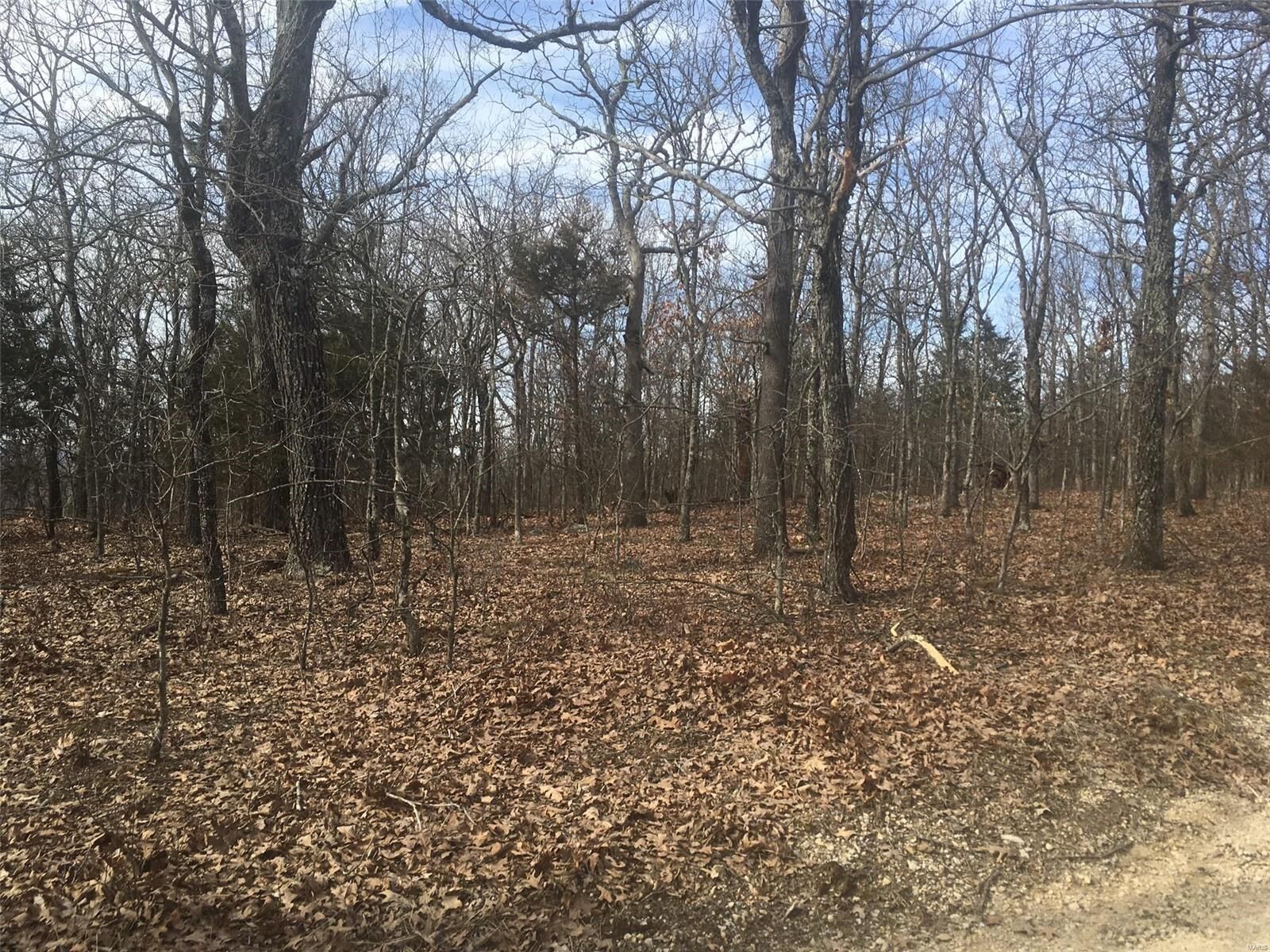Property Photo:  3 Simms Road  MO 63601 