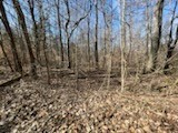 Property Photo:  0 Old Tobaccoport Rd  TN 37028 