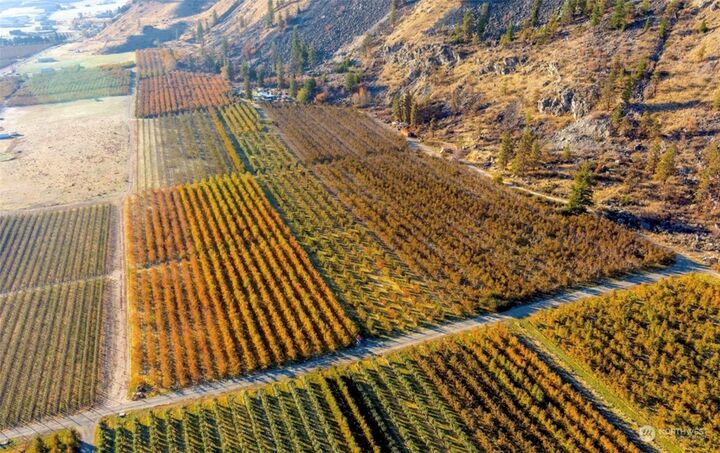 630 Hammer Lane  Chelan WA 98816 photo