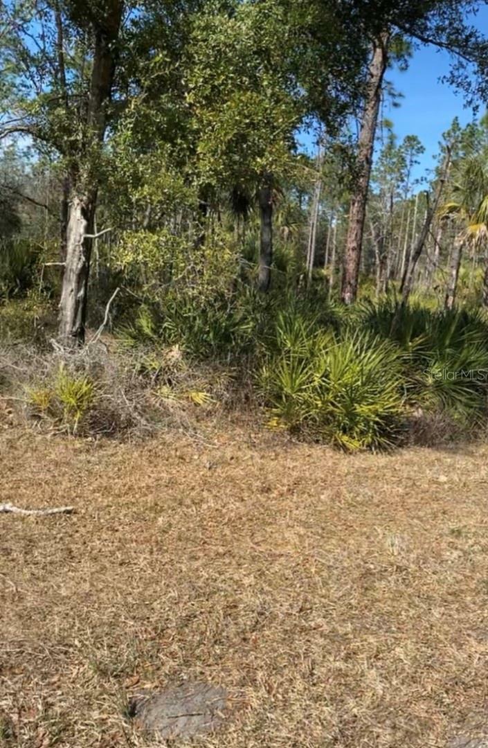 Property Photo:  7774 N Ira Martin Avenue  FL 34428 