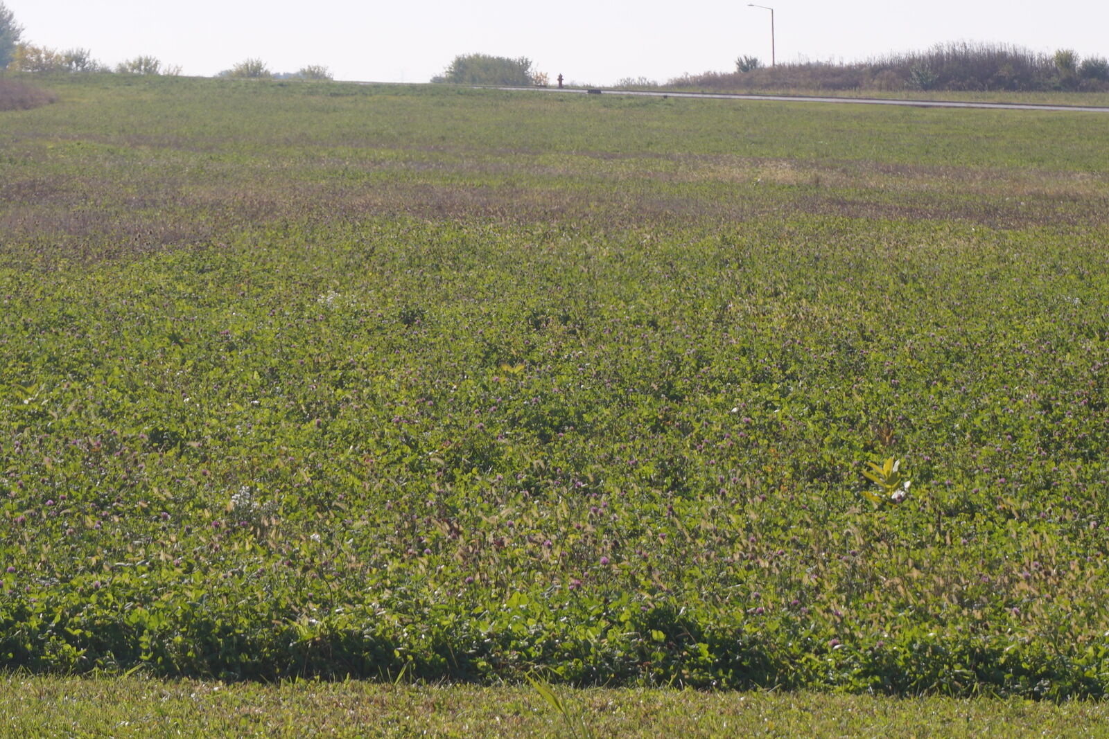 Property Photo: Lot5 S Rt 52 Road IL 60442
