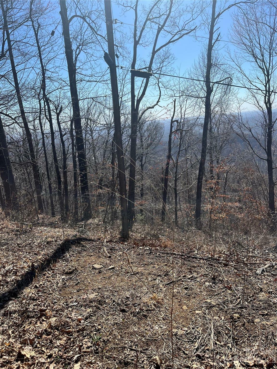 Property Photo:  999 Skyuka Mountain Road Portion Of Lot 9  NC 28722 