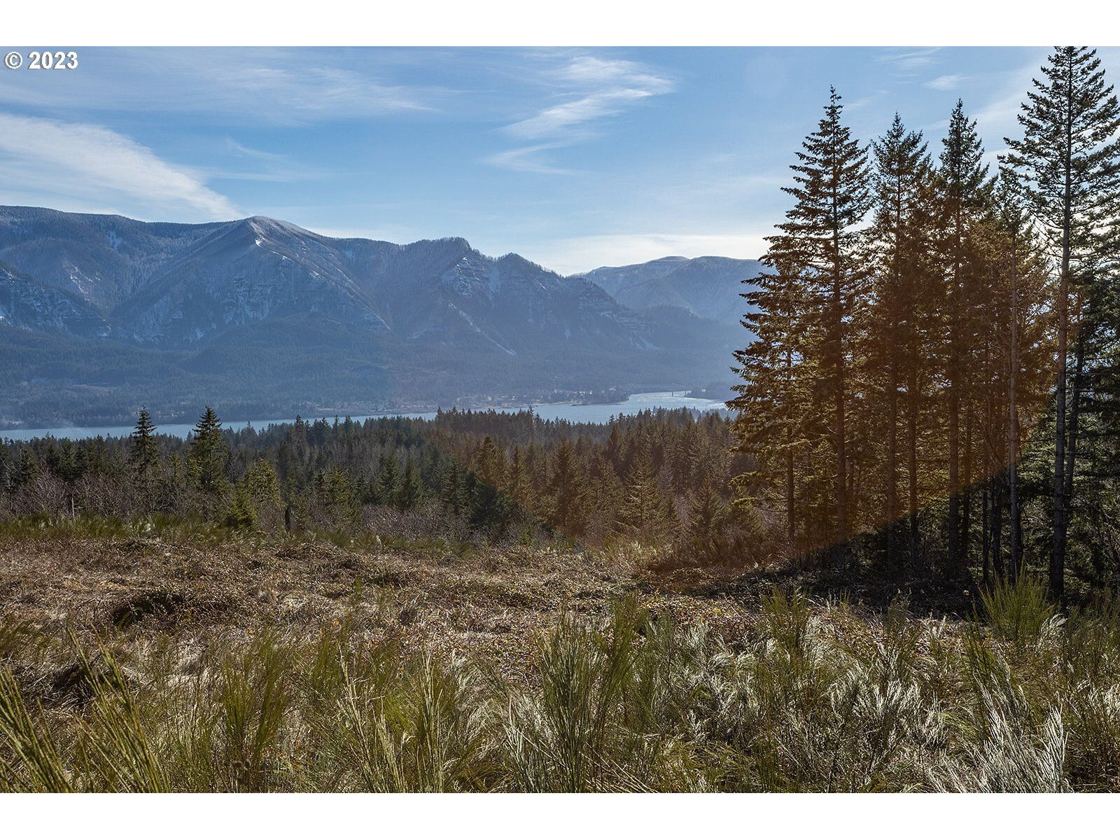 Property Photo:  Loop Rd  WA 98648 