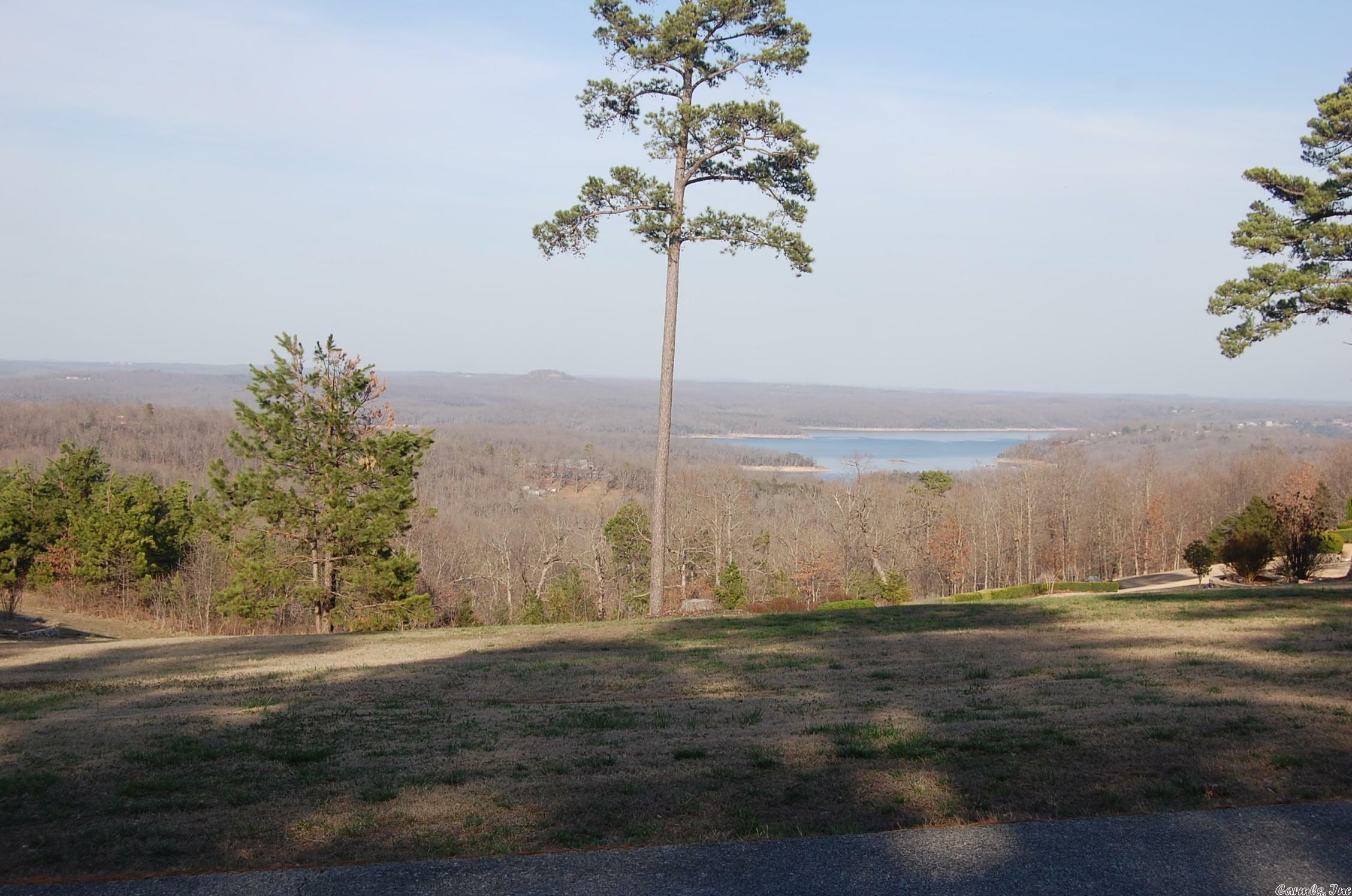 Property Photo:  Lot 41 Swiss Alps Lane  AR 72653 