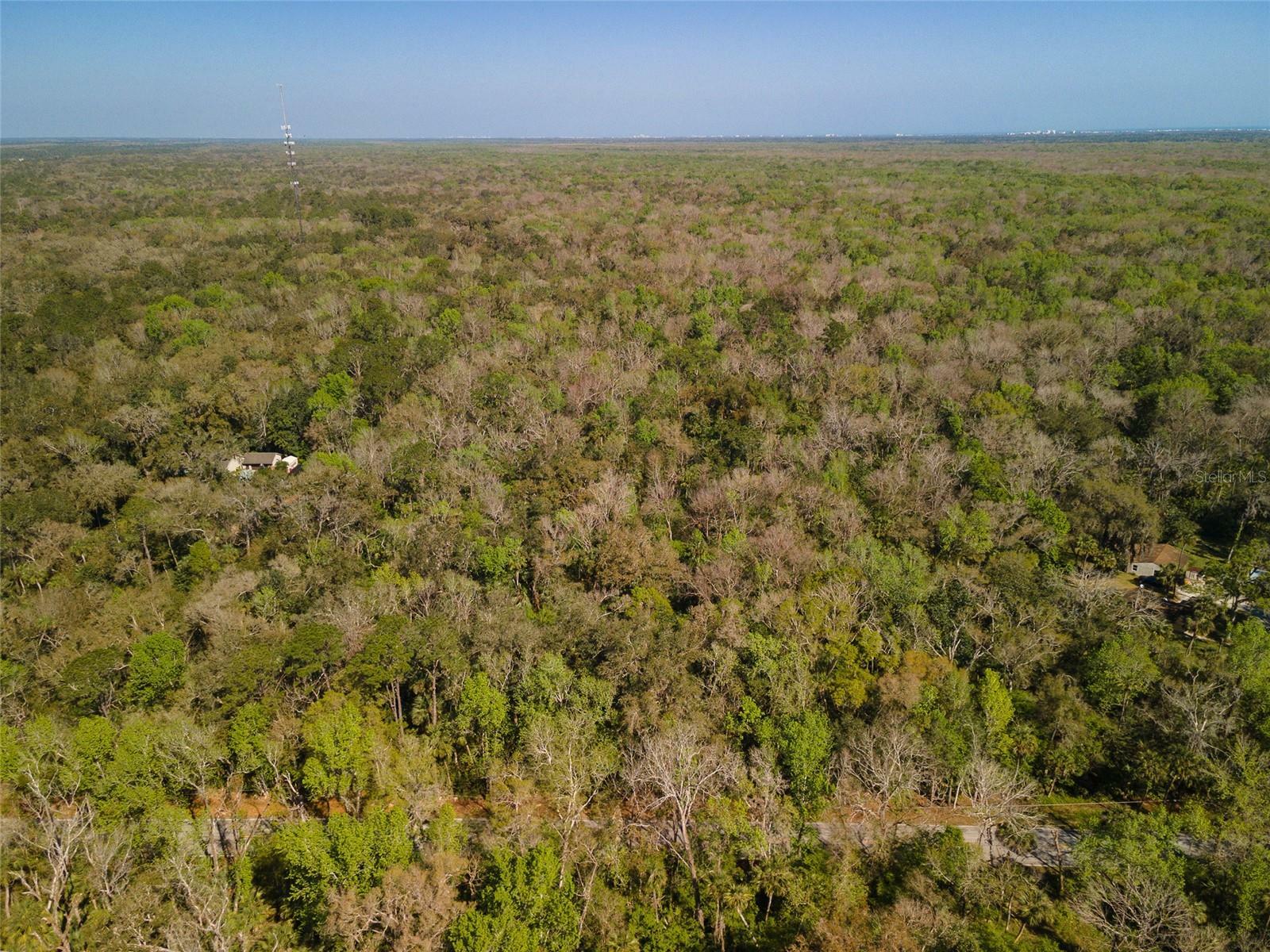 Property Photo:  Maytown Road  FL 32759 