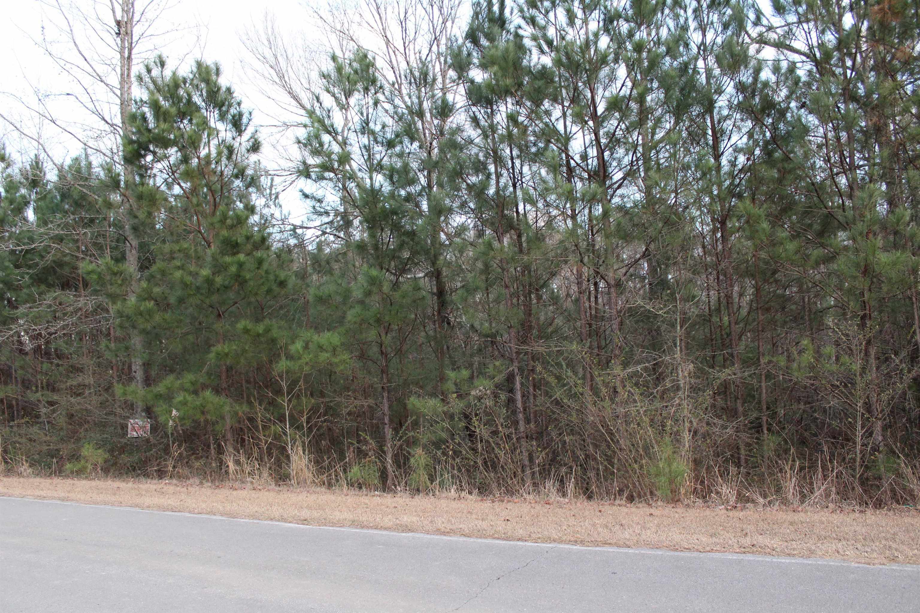 Property Photo:  Lot 72 Montcrest  AL 35057 - CULLMAN 