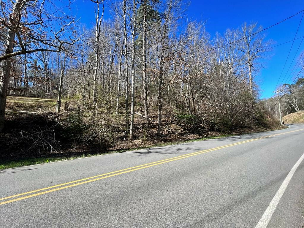 Property Photo:  Lots 13, 14 Powdermill Road  TN 37738 