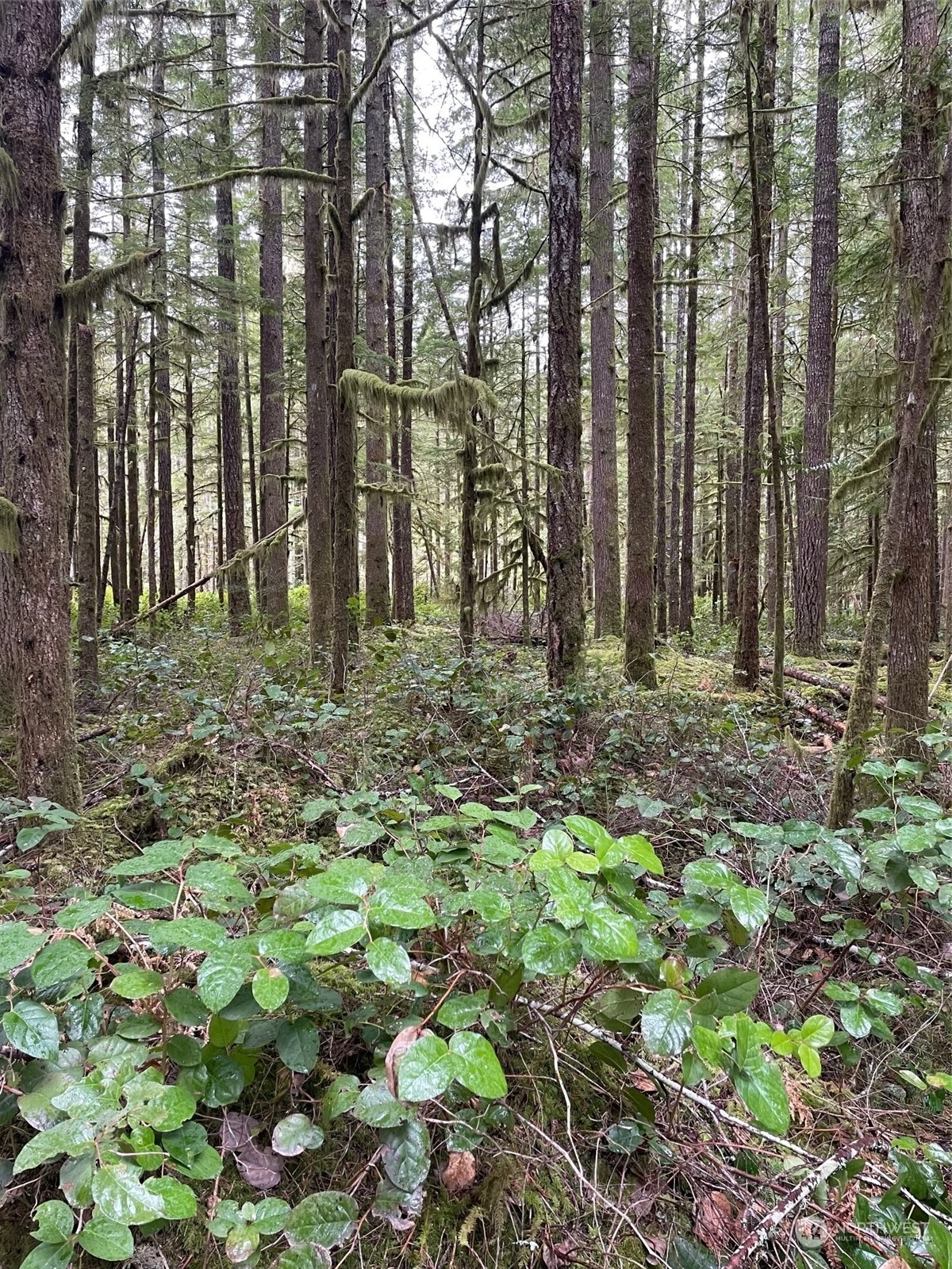 Property Photo: 0 419th Avenue NE WA 98223