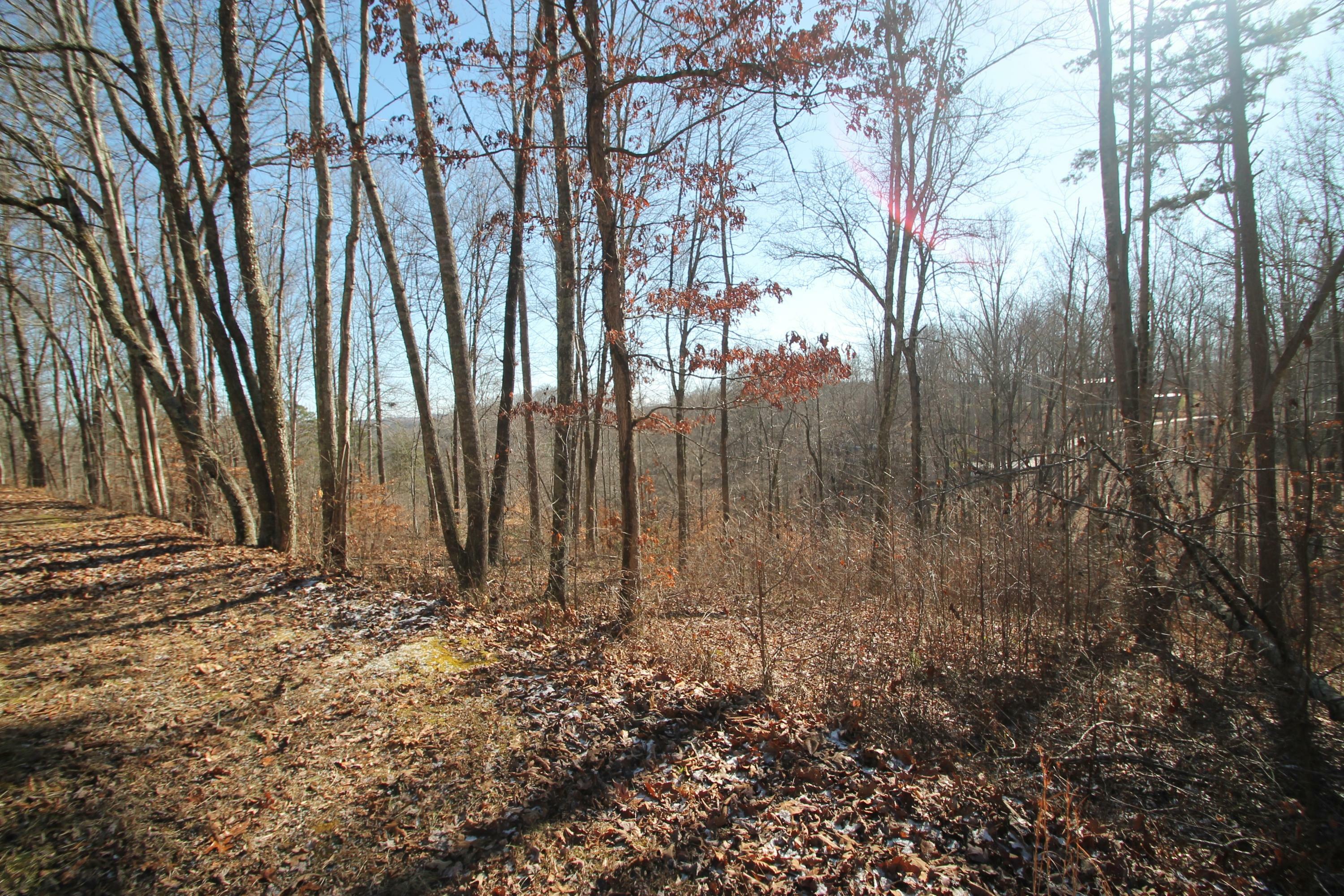 Property Photo:  Cove Norris Rd  TN 37714 