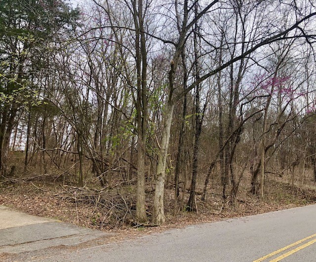 Property Photo: 0 Elmwood Drive TN 37040