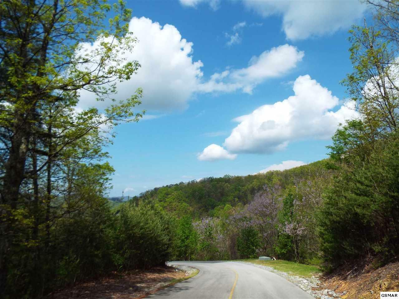 Lot 63 East Redtail Road  Sevierville TN 37862 photo