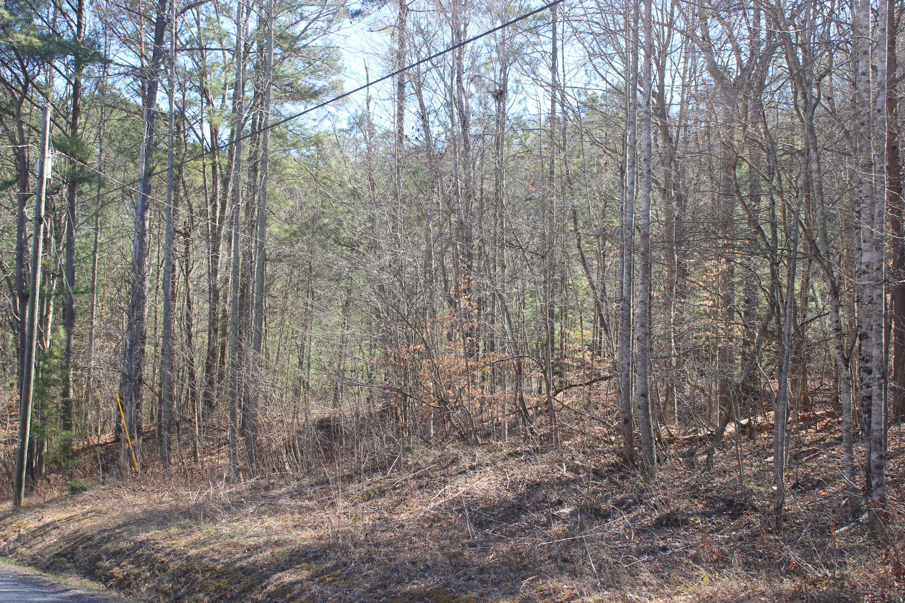 Property Photo:  Tbd Speedwell Lane  TN 37711 