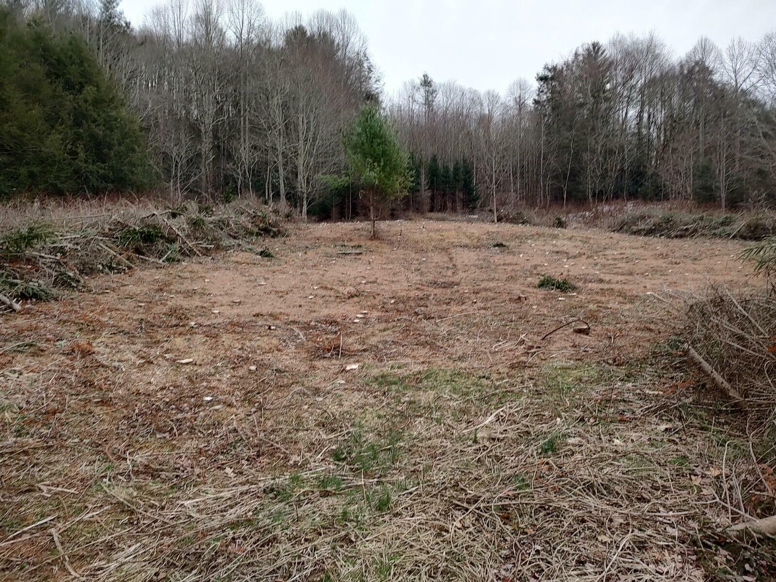 Property Photo:  Lot 7A Clarktown Rd  TN 37687 